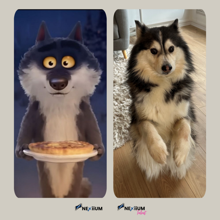 Copie de Sans titre (5)